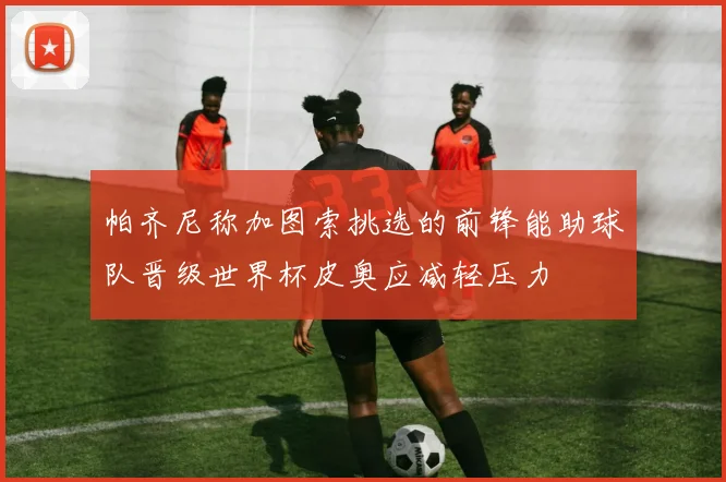 帕齐尼称加图索挑选的前锋能助球队晋级世界杯皮奥应减轻压力